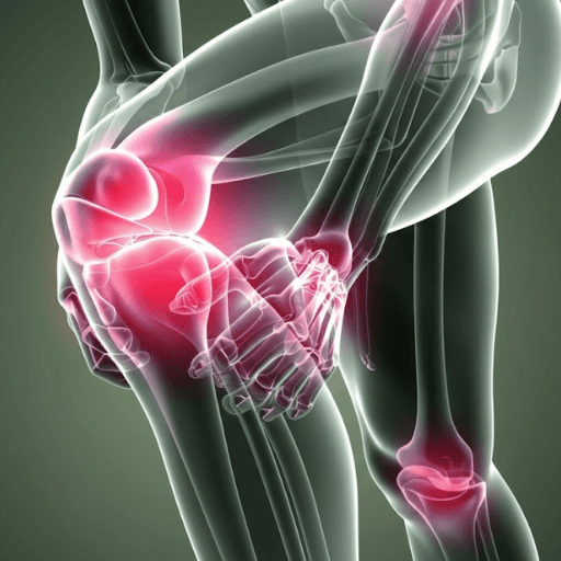 Knee joint illustration
